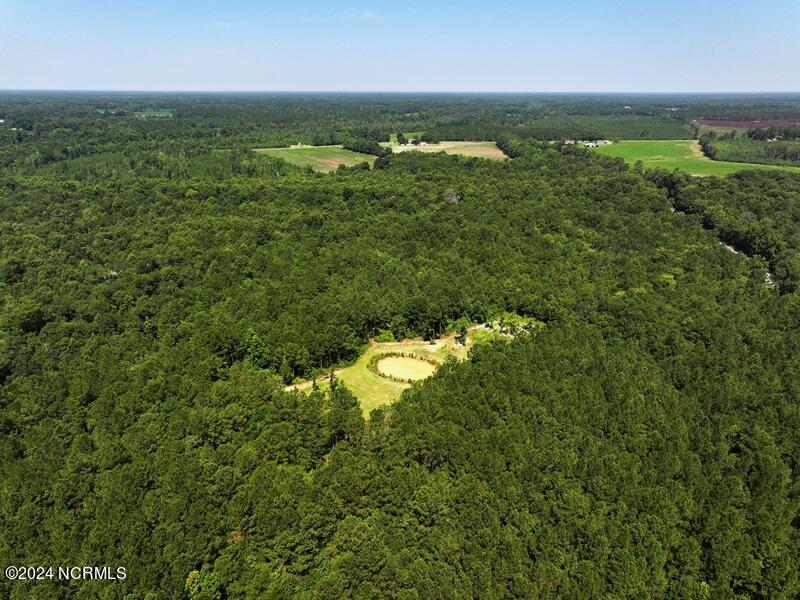 Tbd Swimming Hole Road Delco, NC 28436 - Photo 4 of 21 DJI_20240715113952_0362_D
