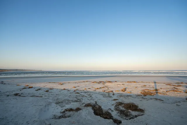 a view of beach and ocean
