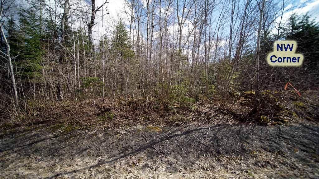 Lot 23 Mill Road East Orient, ME 04471 - Photo 10 of 28 land-in-cary-smith-1