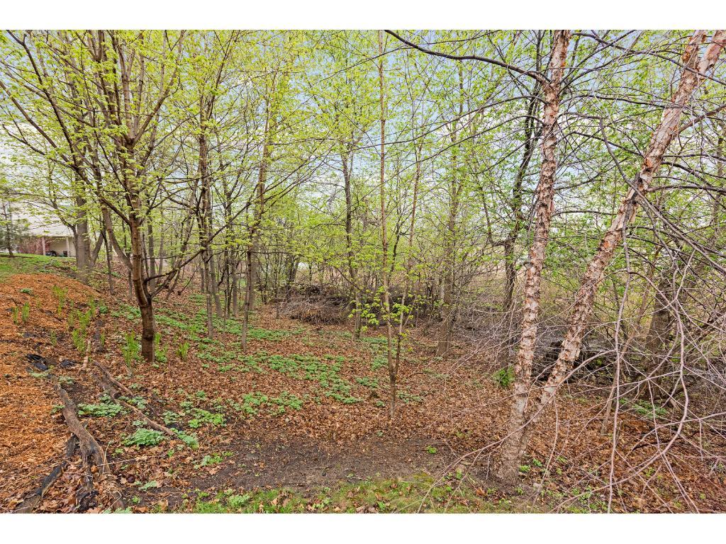 1782 Sterling Road Waconia, MN 55387 - Photo 24 of 24 Gallery Image 24
