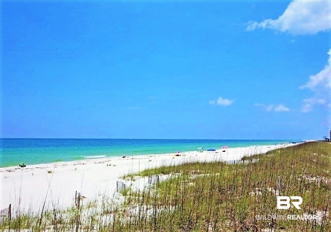 29209 Perdido Beach Boulevard, Unit 903 Orange Beach, AL 36561 - Photo 6 of 42 OUR BEACH