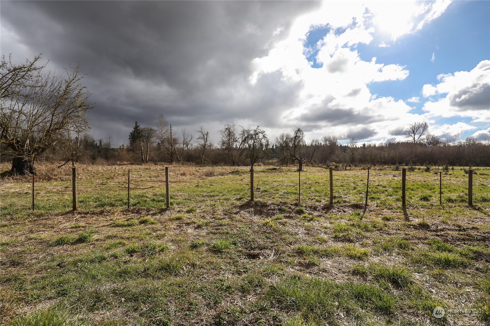 804 Highway 508 Chehalis, WA 98532 - Photo 15 of 17 a view of a field with trees