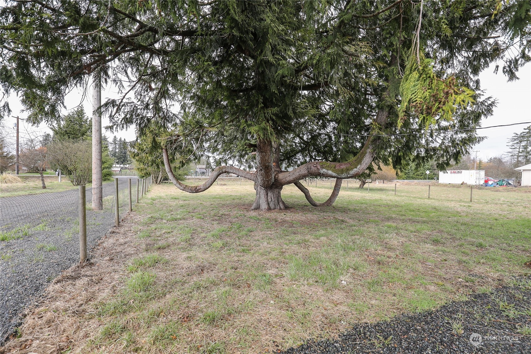 804 Highway 508 Chehalis, WA 98532 - Photo 16 of 17 a view of yard with trees