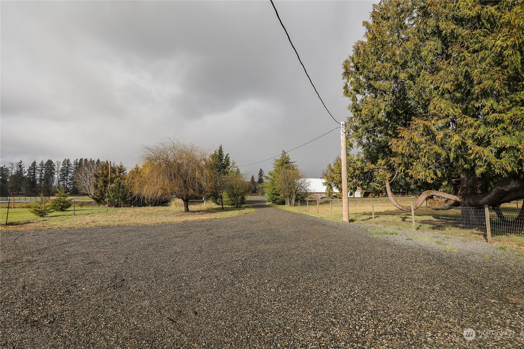804 Highway 508 Chehalis, WA 98532 - Photo 17 of 17 a view of a field with trees in the background