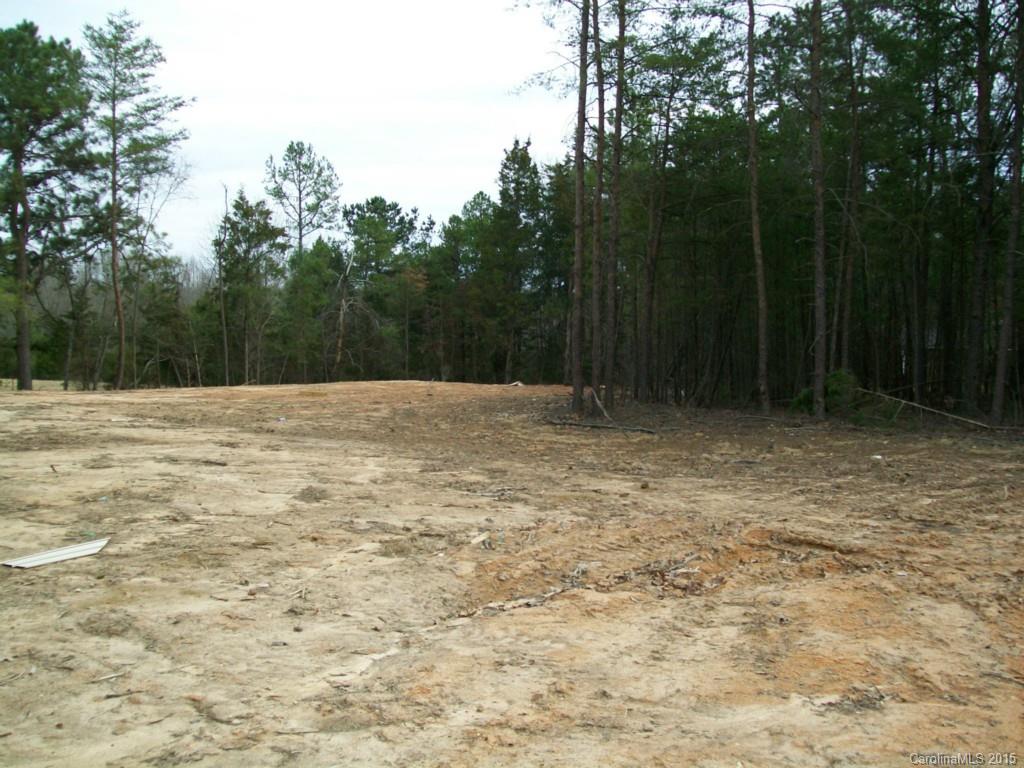 4039 Orion Road York, SC 29745 - Photo 6 of 18 Gallery Image 6
