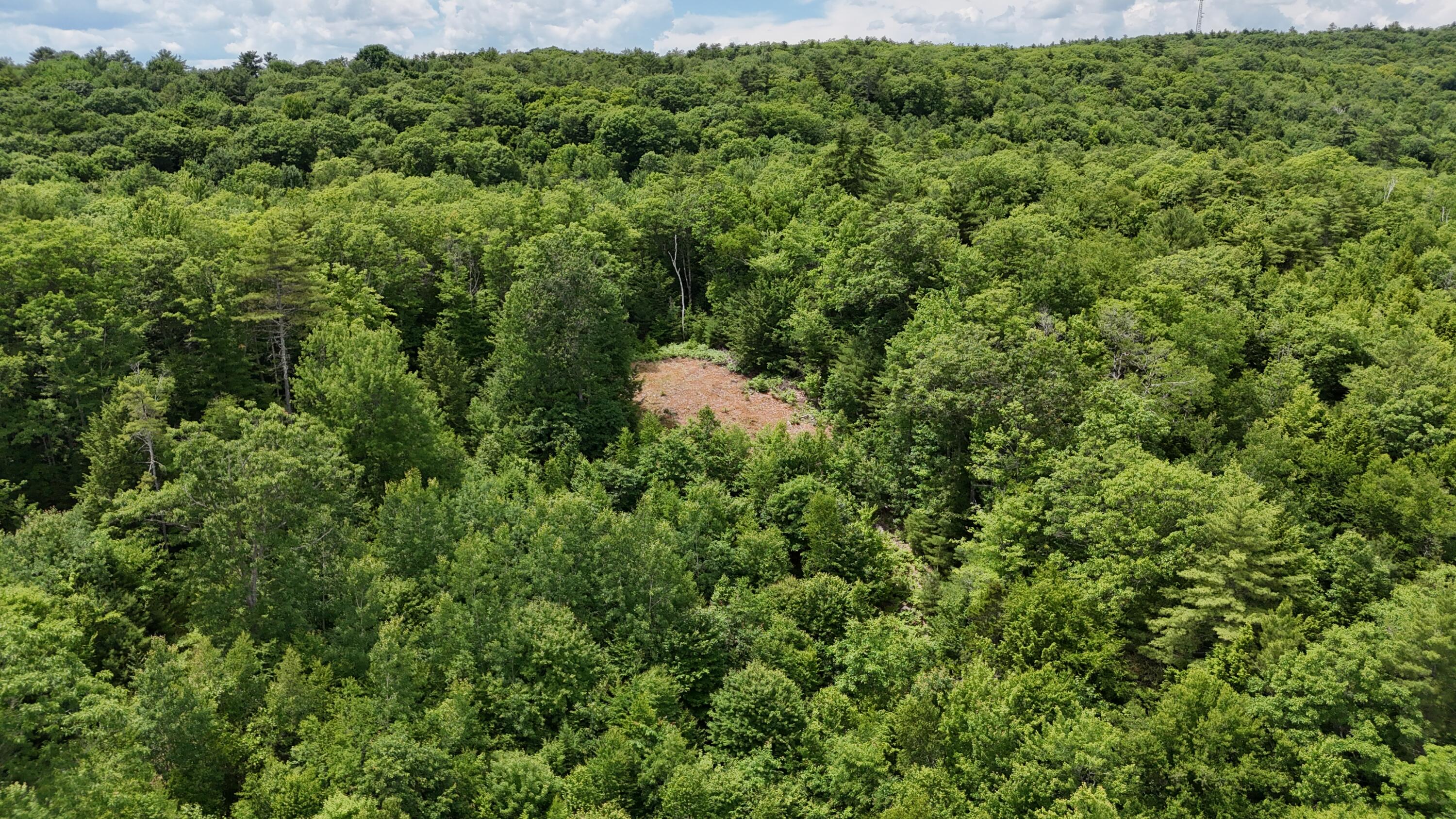 4 Youngs Road Canton, ME 04221 - Photo 3 of 4 DJI_20260625133538_0212_D