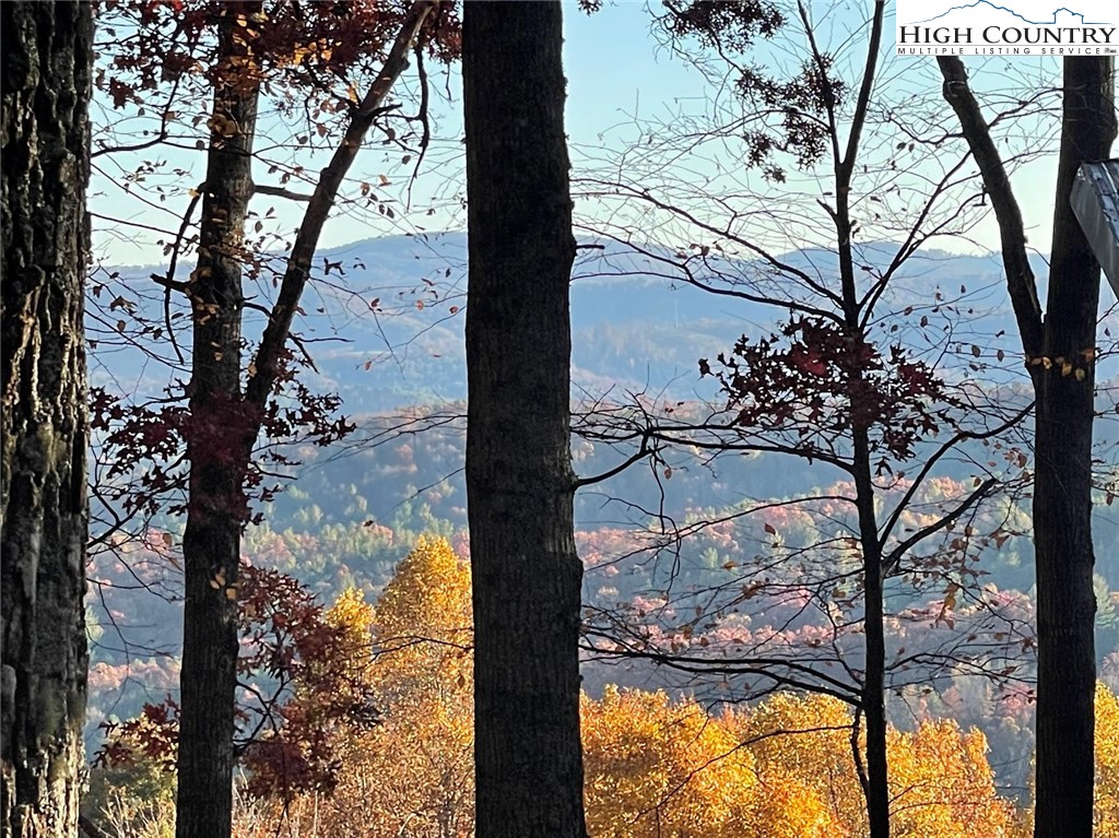 Lower Nettle Knob Road West Jefferson, NC 28694 - Photo 1 of 23 Gallery Image 1