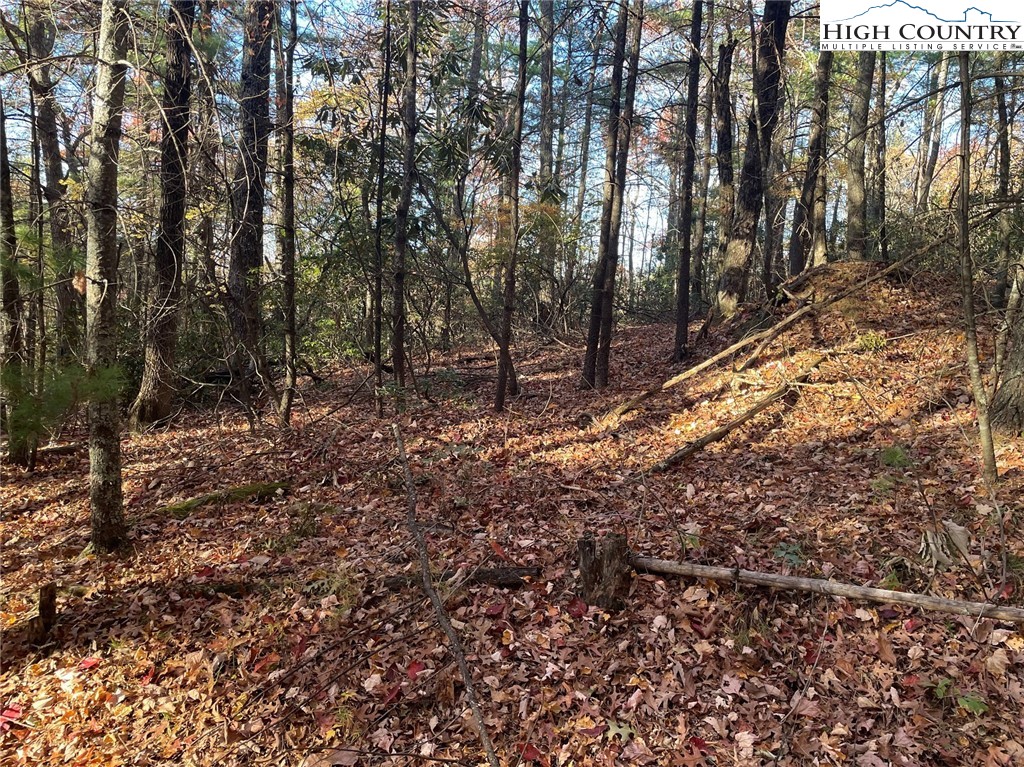 Lower Nettle Knob Road West Jefferson, NC 28694 - Photo 11 of 23 Gallery Image 11