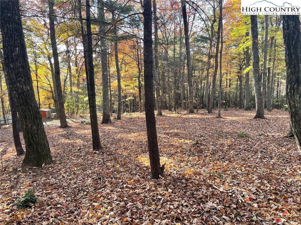 Lower Nettle Knob Road West Jefferson, NC 28694 - Photo 12 of 23 Gallery Image 12