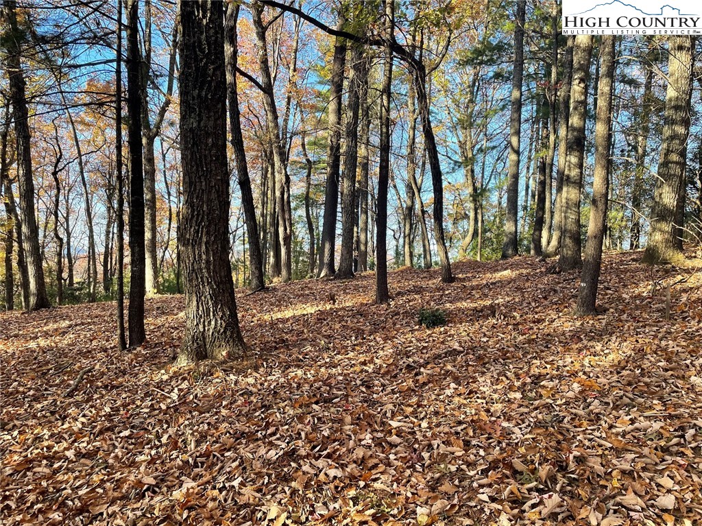 Lower Nettle Knob Road West Jefferson, NC 28694 - Photo 13 of 23 Gallery Image 13