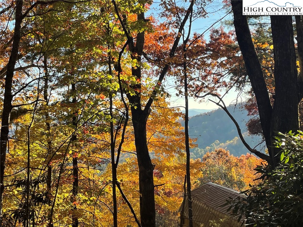 Lower Nettle Knob Road West Jefferson, NC 28694 - Photo 14 of 23 Gallery Image 14