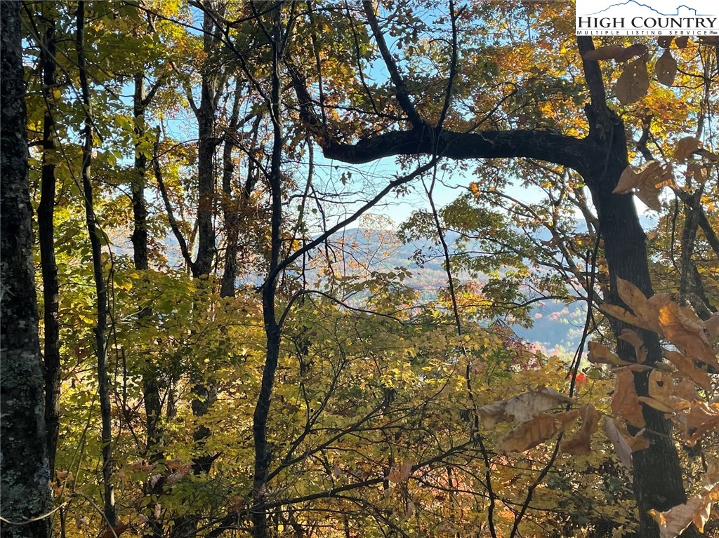 Lower Nettle Knob Road West Jefferson, NC 28694 - Photo 15 of 23 Gallery Image 15