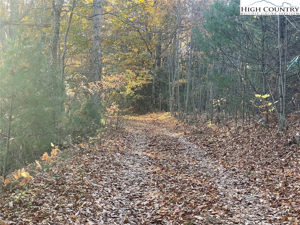 Lower Nettle Knob Road West Jefferson, NC 28694 - Photo 16 of 23 Gallery Image 16