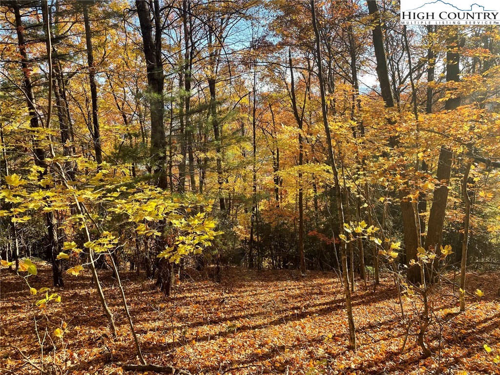 Lower Nettle Knob Road West Jefferson, NC 28694 - Photo 17 of 23 Gallery Image 17