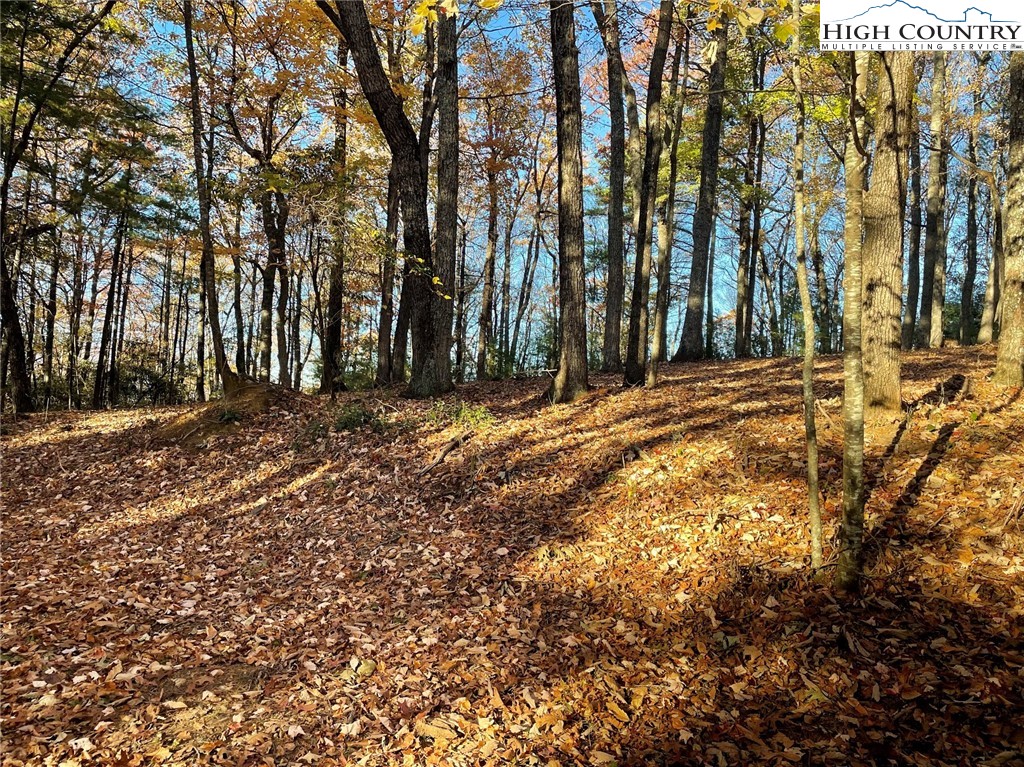 Lower Nettle Knob Road West Jefferson, NC 28694 - Photo 18 of 23 Gallery Image 18