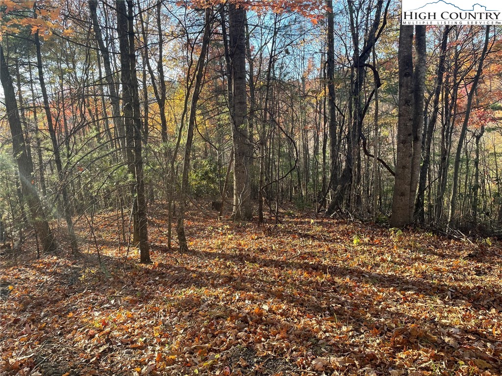 Lower Nettle Knob Road West Jefferson, NC 28694 - Photo 19 of 23 Gallery Image 19