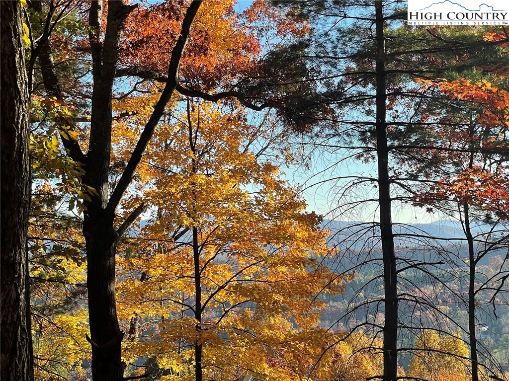 Lower Nettle Knob Road West Jefferson, NC 28694 - Photo 2 of 23 Gallery Image 2
