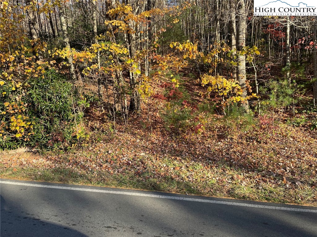 Lower Nettle Knob Road West Jefferson, NC 28694 - Photo 21 of 23 Gallery Image 21