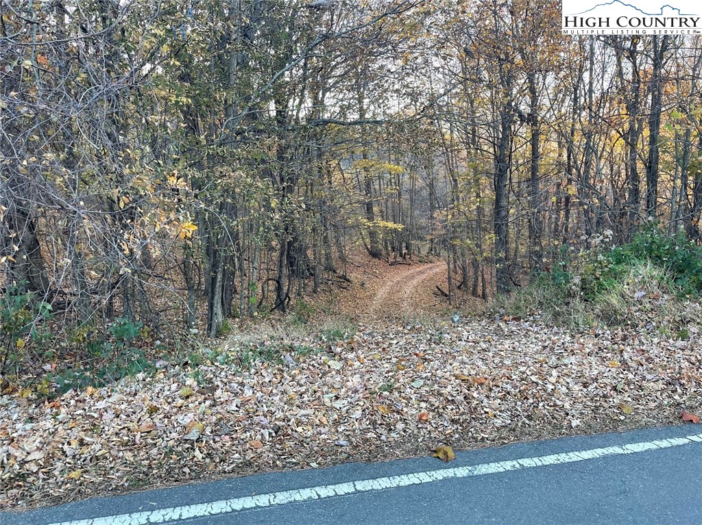 Lower Nettle Knob Road West Jefferson, NC 28694 - Photo 23 of 23 Gallery Image 23