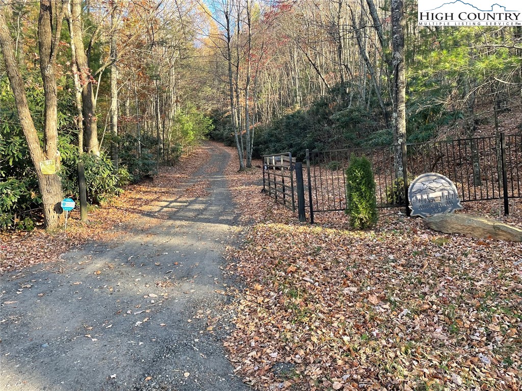 Lower Nettle Knob Road West Jefferson, NC 28694 - Photo 3 of 23 Gallery Image 3