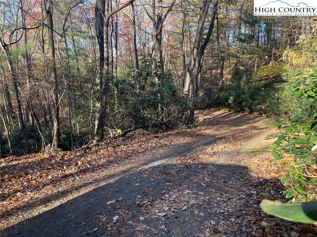 Lower Nettle Knob Road West Jefferson, NC 28694 - Photo 5 of 23 Gallery Image 5