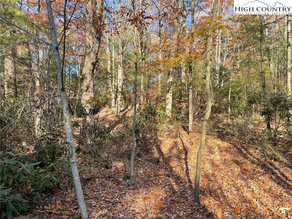 Lower Nettle Knob Road West Jefferson, NC 28694 - Photo 6 of 23 Gallery Image 6