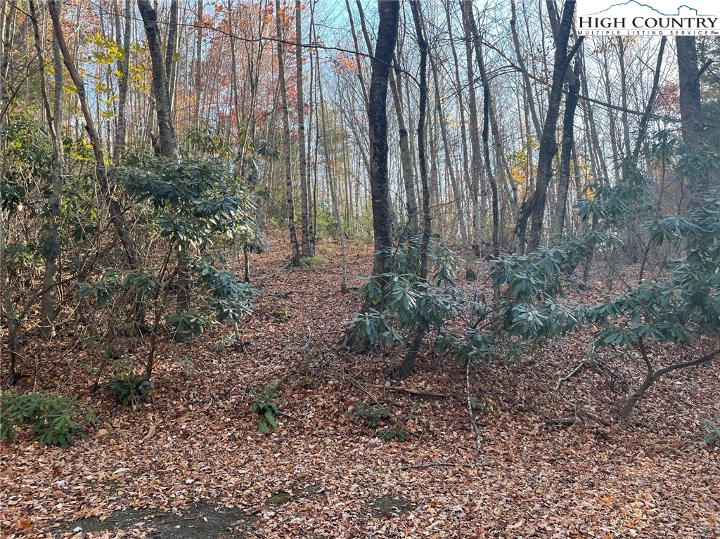 Lower Nettle Knob Road West Jefferson, NC 28694 - Photo 7 of 23 Gallery Image 7