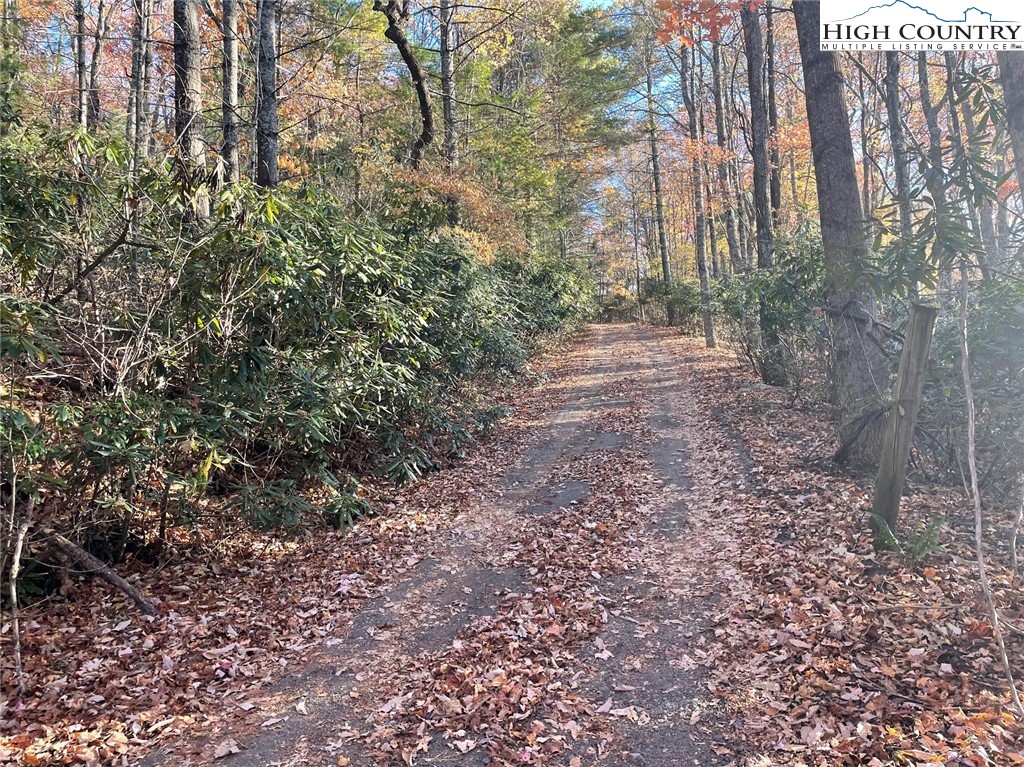 Lower Nettle Knob Road West Jefferson, NC 28694 - Photo 8 of 23 Gallery Image 8