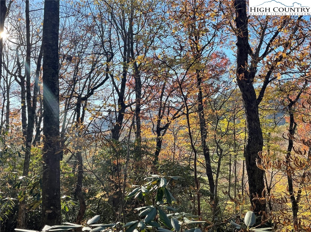 Lower Nettle Knob Road West Jefferson, NC 28694 - Photo 10 of 23 Gallery Image 10