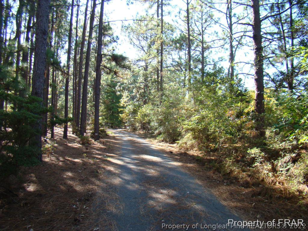 1615 Midland Road Southern Pines, NC 28387 - Photo 10 of 12 a view of outdoor space and yard