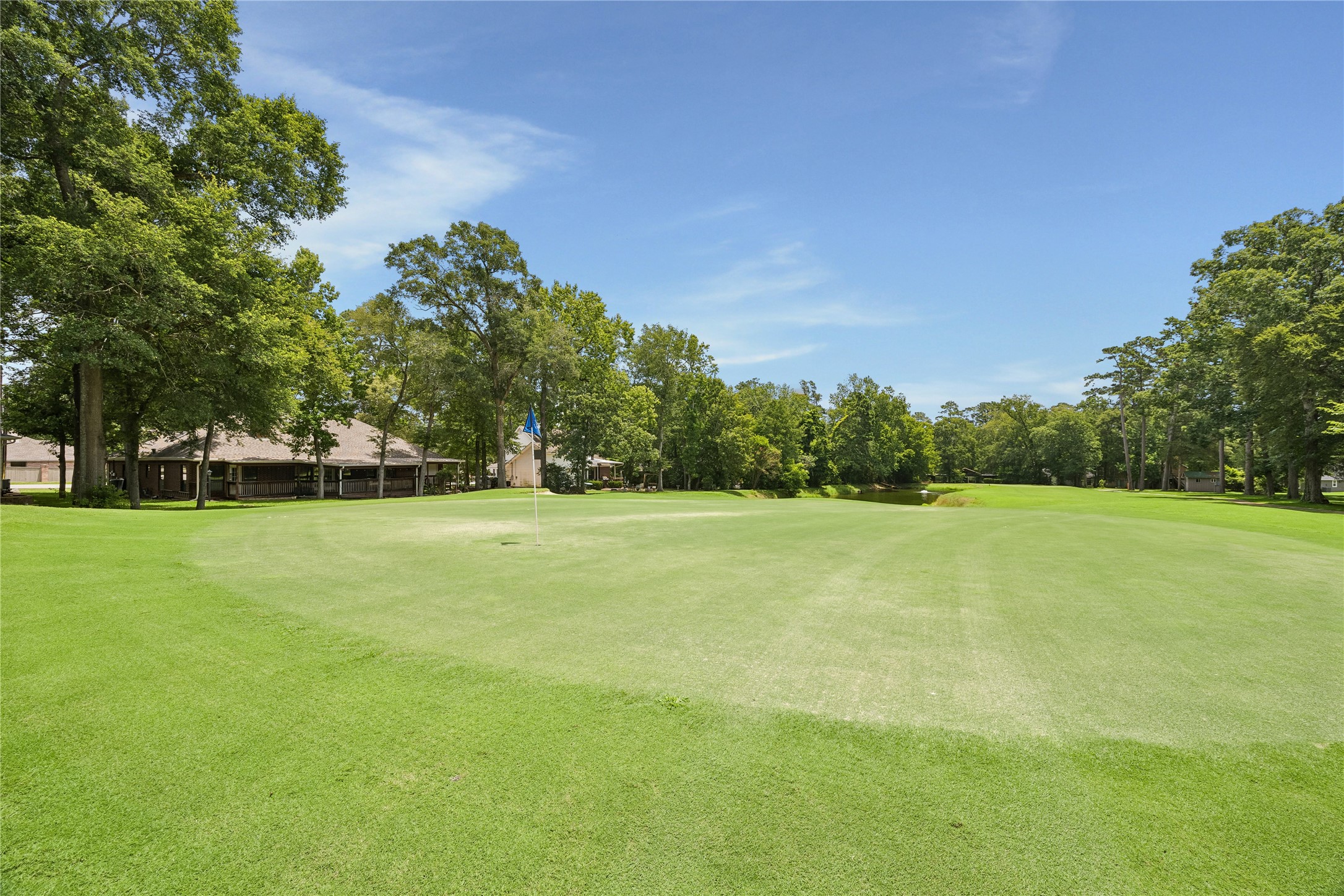 154 7 Coves Road Conroe, TX 77304 - Photo 31 of 32 Looking down the green!