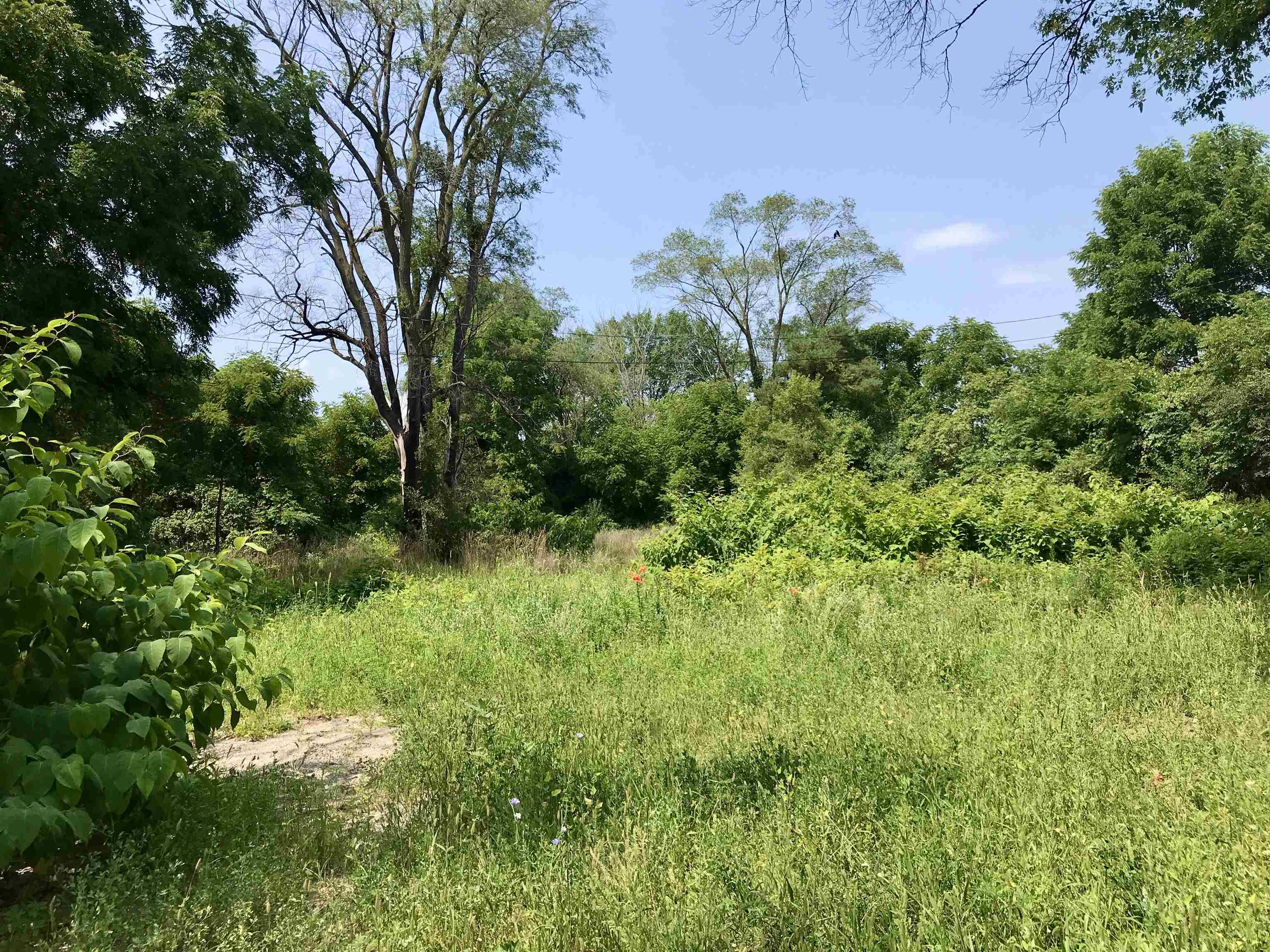 3382 South Isabella Road Mount Pleasant, MI 48858 - Photo 1 of 10 1925083-c1d62495-1151-4cef-9d92-7a0fe91c2988.JPG