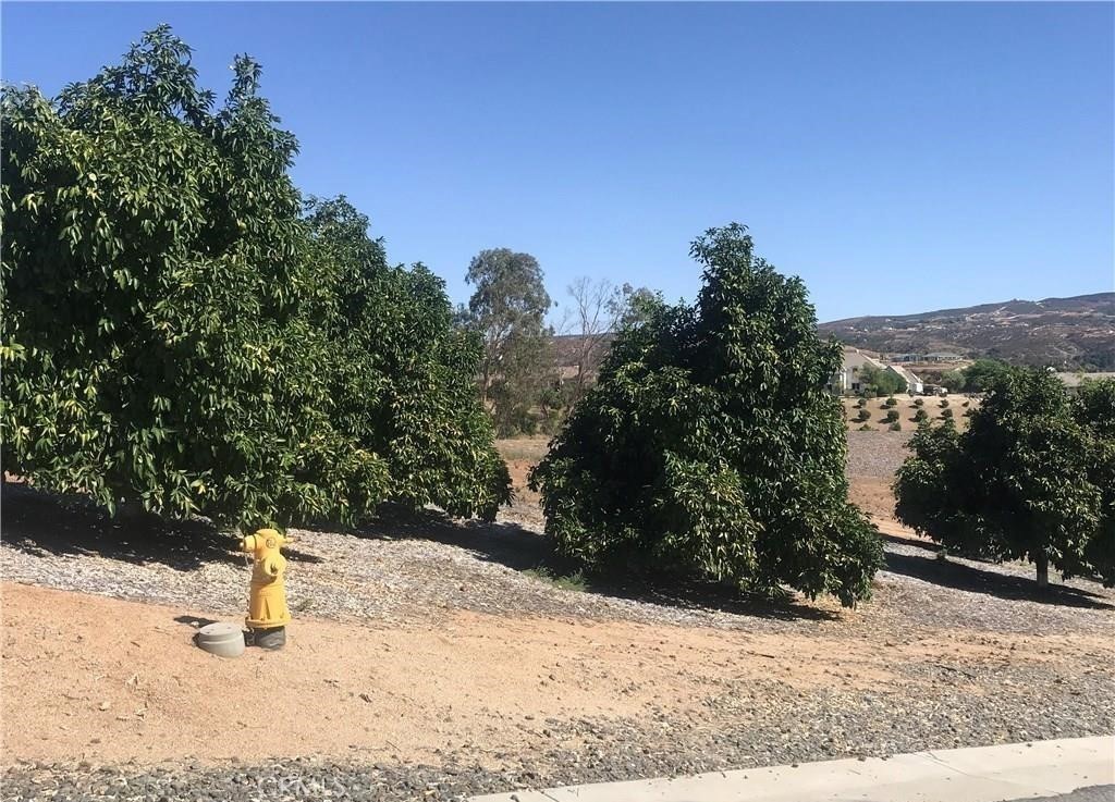 38538 Martin Ranch Road Temecula, CA 92592 - Photo 4 of 8 Citrus Trees lining the street, plus water meter installed