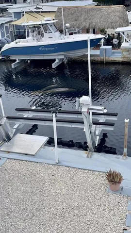 a view of a swimming pool with sitting area