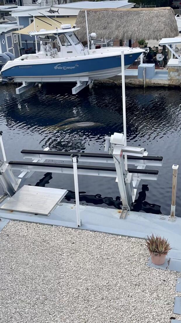 240 Taylor Drive Key Largo, FL 33037 - Photo 22 of 25 a close view of stove