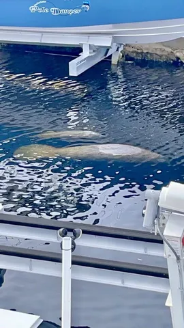 $4,100 | 240 Taylor Drive, Key Largo, FL 33037