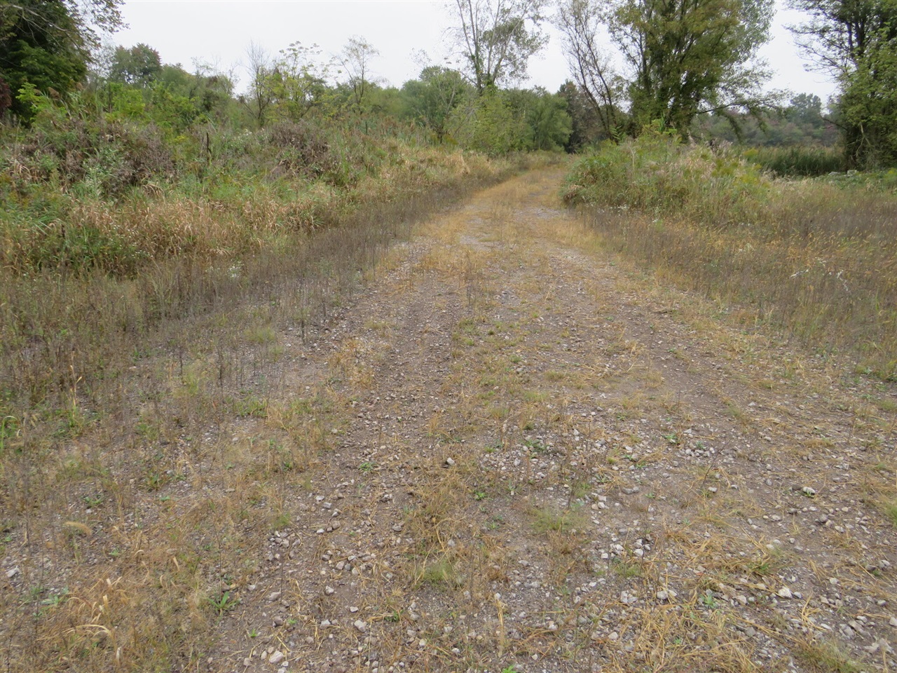 Vl Mcclure Road Eaton Rapids, MI 48827 - Photo 5 of 72