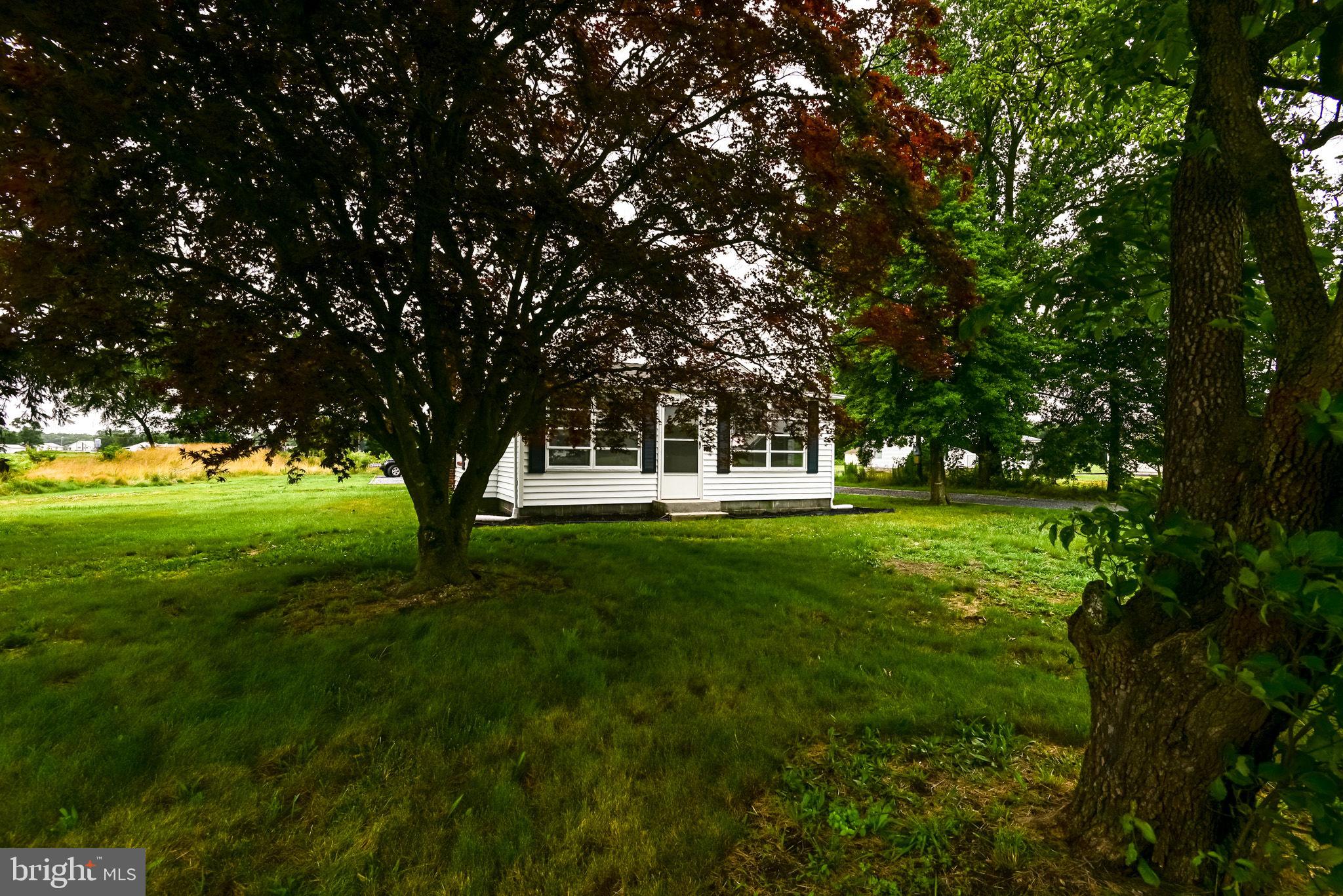 22008 Shell Station Road Millsboro, DE 19966 - Photo 3 of 36