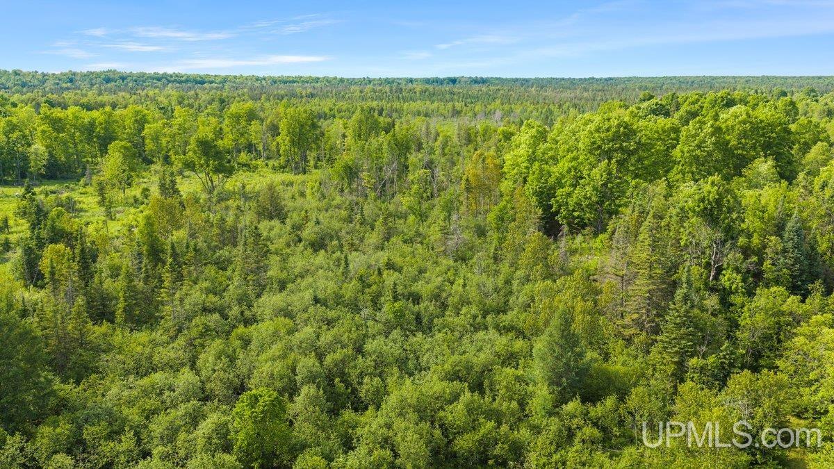 8789 38 Road Rapid River, MI 49878 - Photo 17 of 23