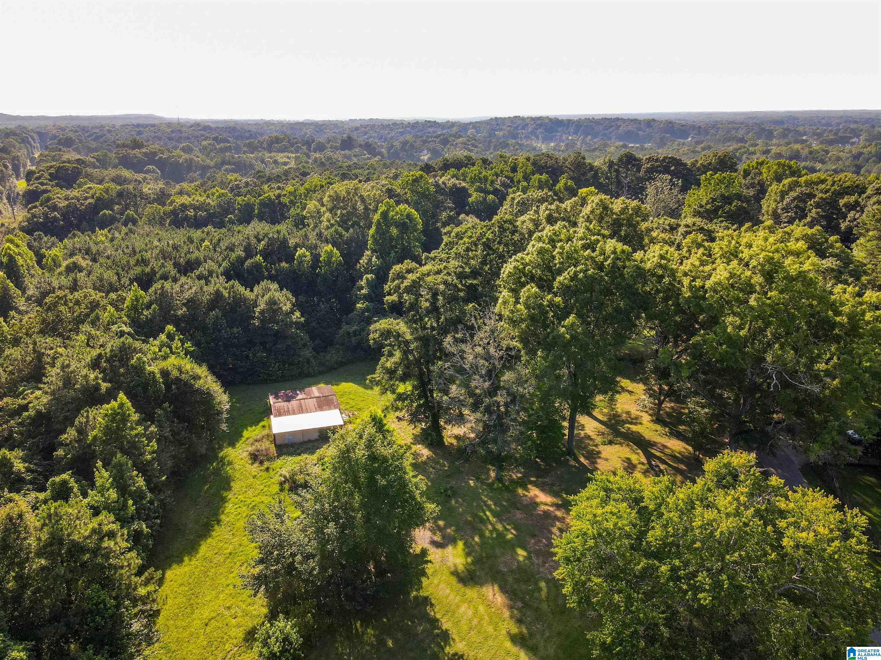 0 Aaron Road Jasper, AL 35501 - Photo 22 of 44