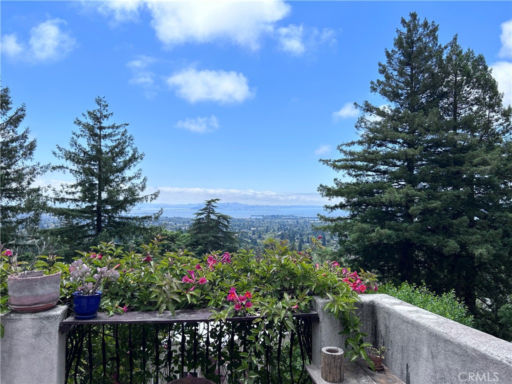 1009 Keith Avenue Berkeley, CA 94708 - Photo 35 of 36 a view of a flower in a garden