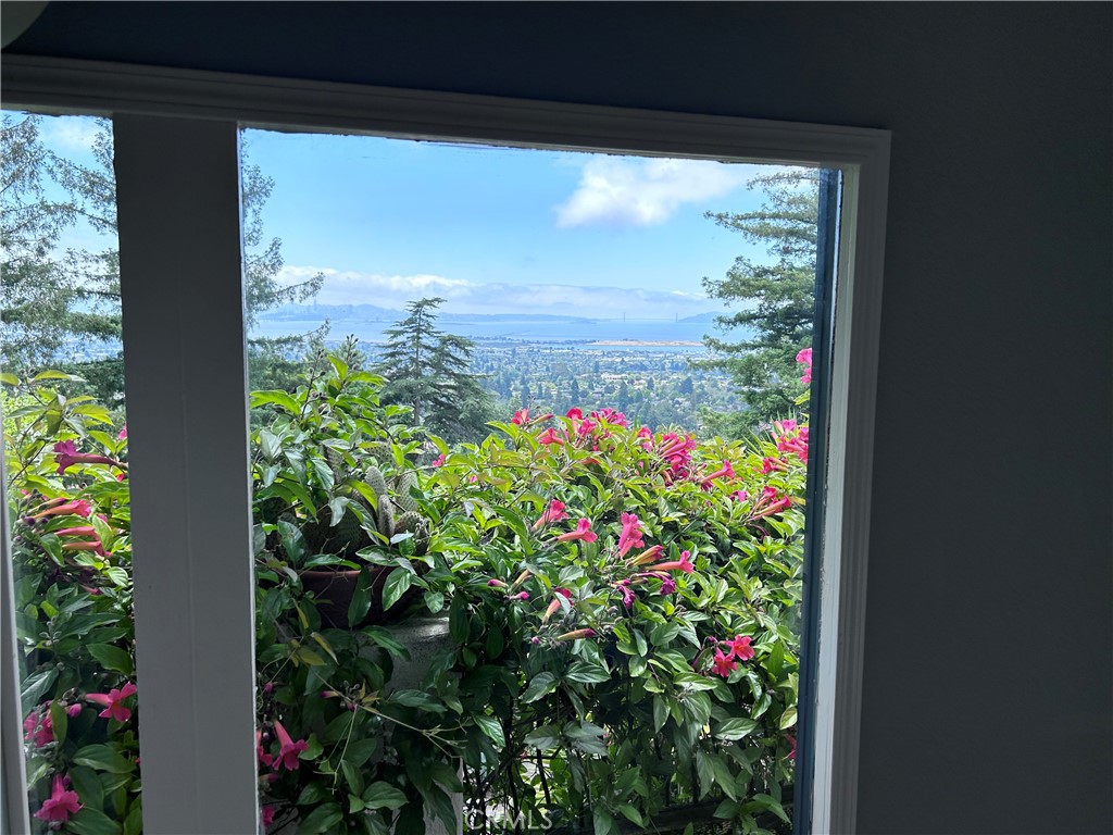 1009 Keith Avenue Berkeley, CA 94708 - Photo 8 of 36 a view of a flower in a garden