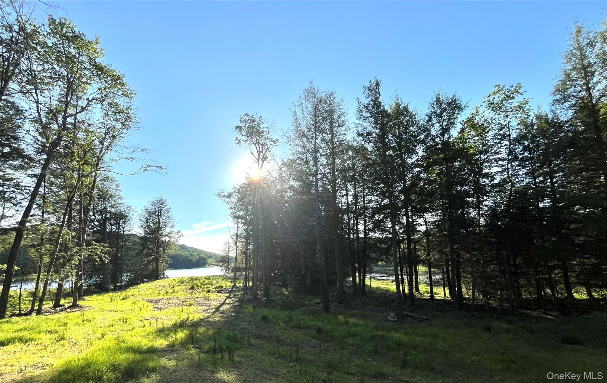 47 Eagles Ridge Way Parksville, NY 12768 - Photo 19 of 19