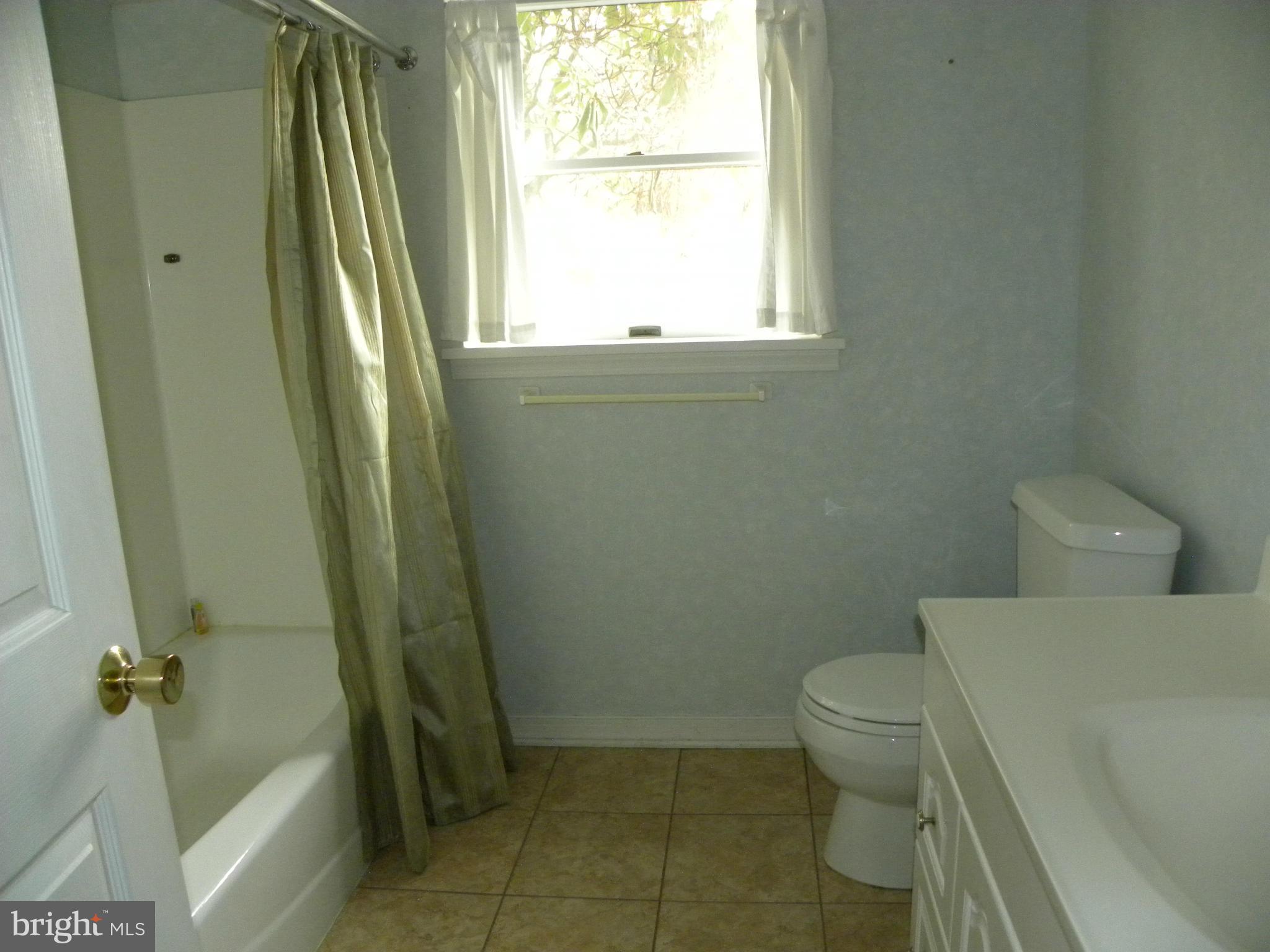 5141 Green Bridge Road Dayton, MD 21036 - Photo 18 of 29 Bath (Master)- Basement Level