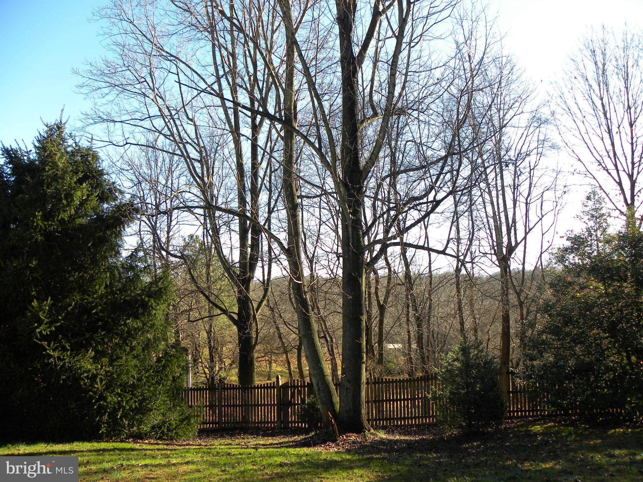 5141 Green Bridge Road Dayton, MD 21036 - Photo 28 of 29 View of fenced backyard