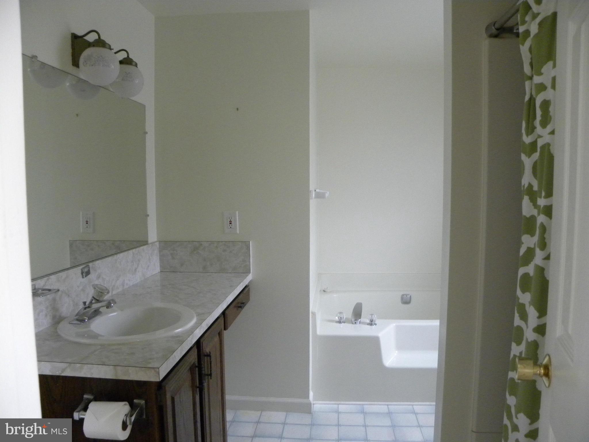 5141 Green Bridge Road Dayton, MD 21036 - Photo 8 of 29 Bath (Master)- Main Level