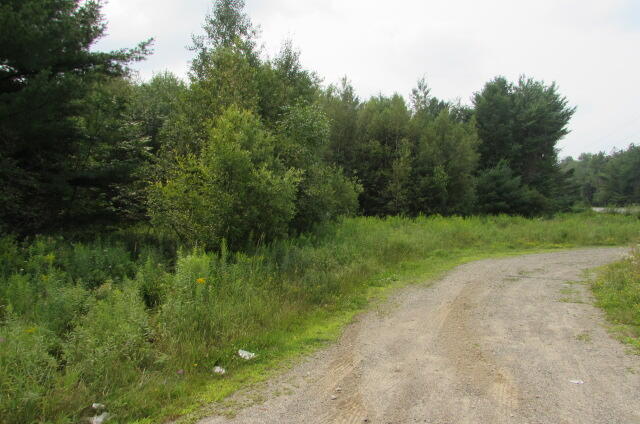 Tbd Main Road Enfield, ME 04493 - Photo 3 of 6 TBD Main Road 033