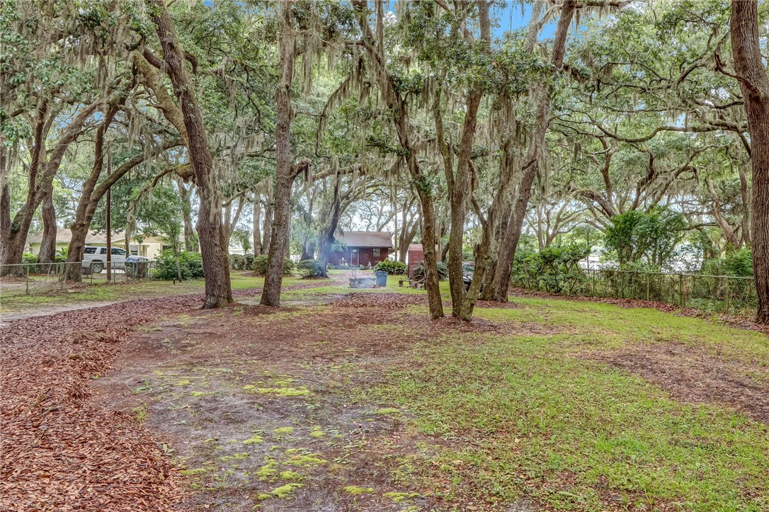 96270 Willyoung Road Yulee, FL 32097 - Photo 6 of 9 a view of a yard with a tree