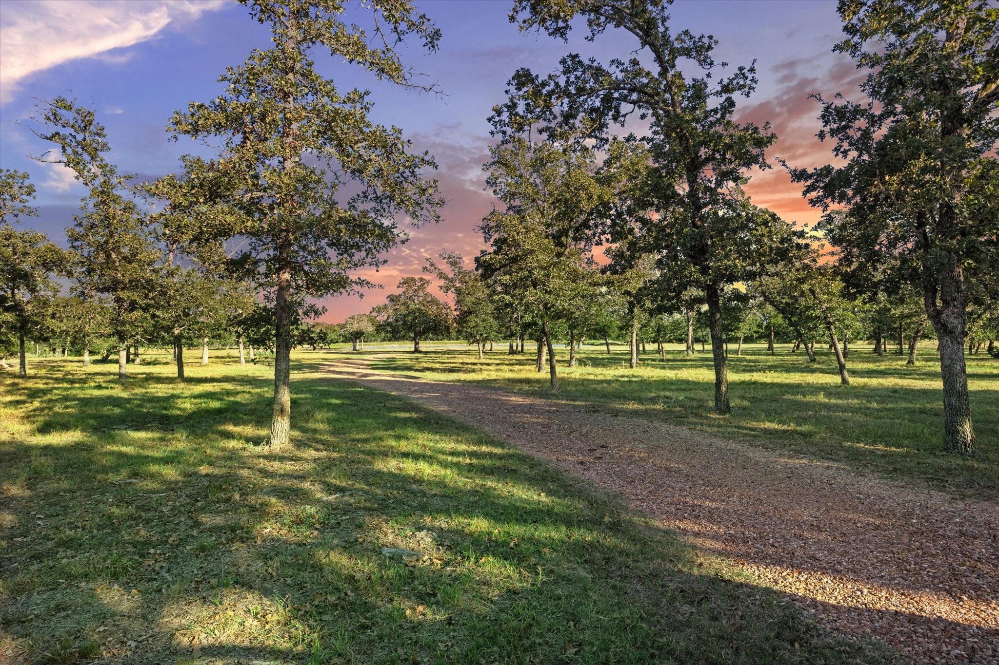 8611 Halamicek Loop Fayetteville, TX 78940 - Photo 39 of 41 a view of a park
