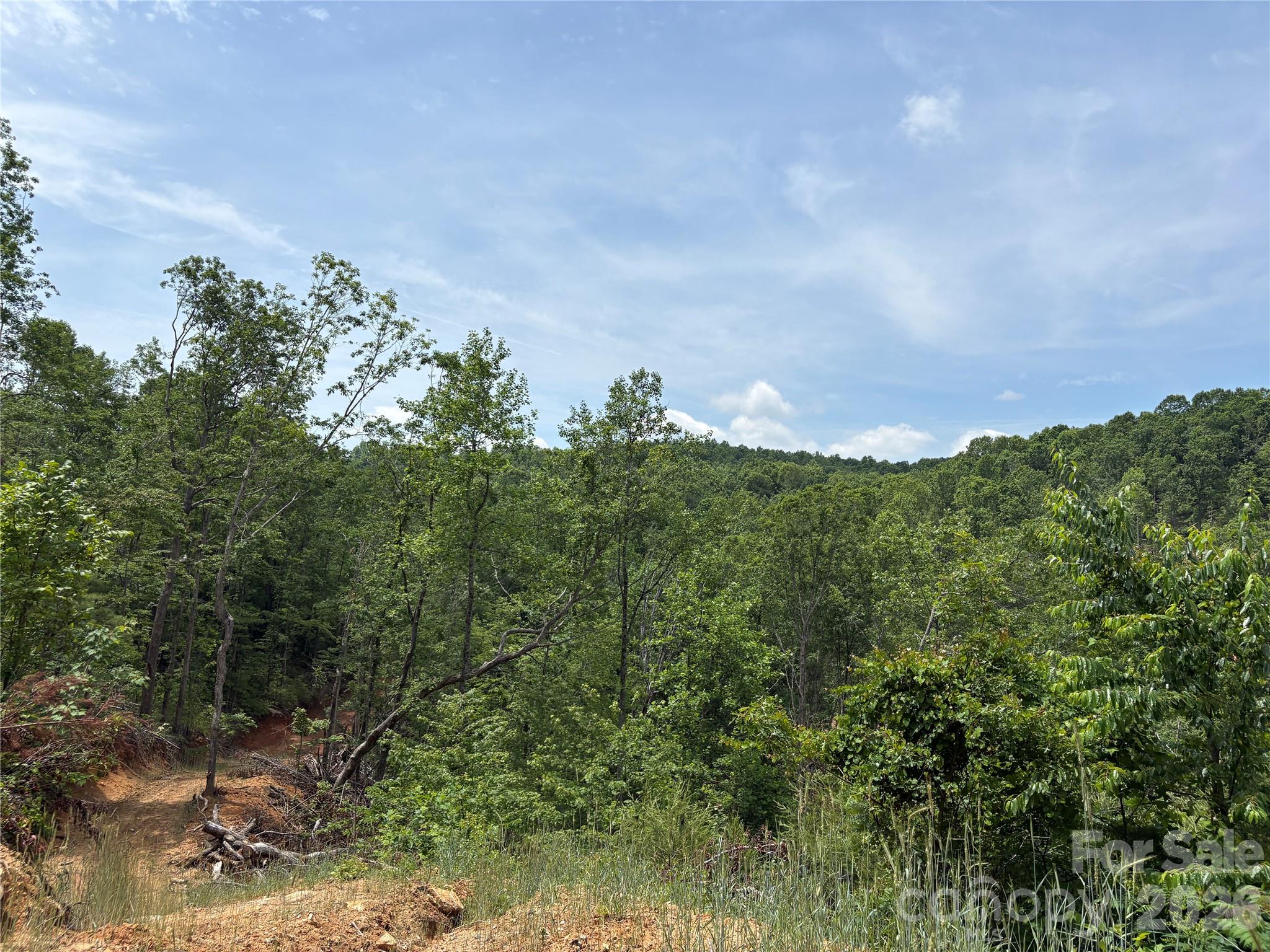 Tbd Early Road Saluda, NC 28773 - Photo 8 of 8 Gallery Image 8